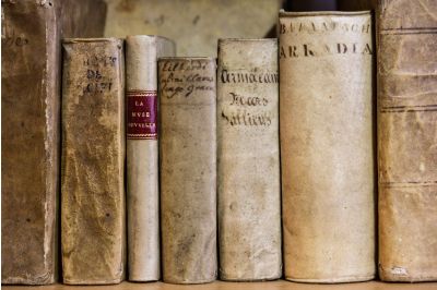 Livres Anciens en vélin