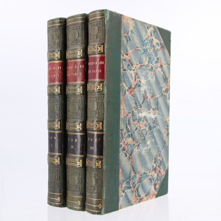 Hugo Notre-Dame de Paris