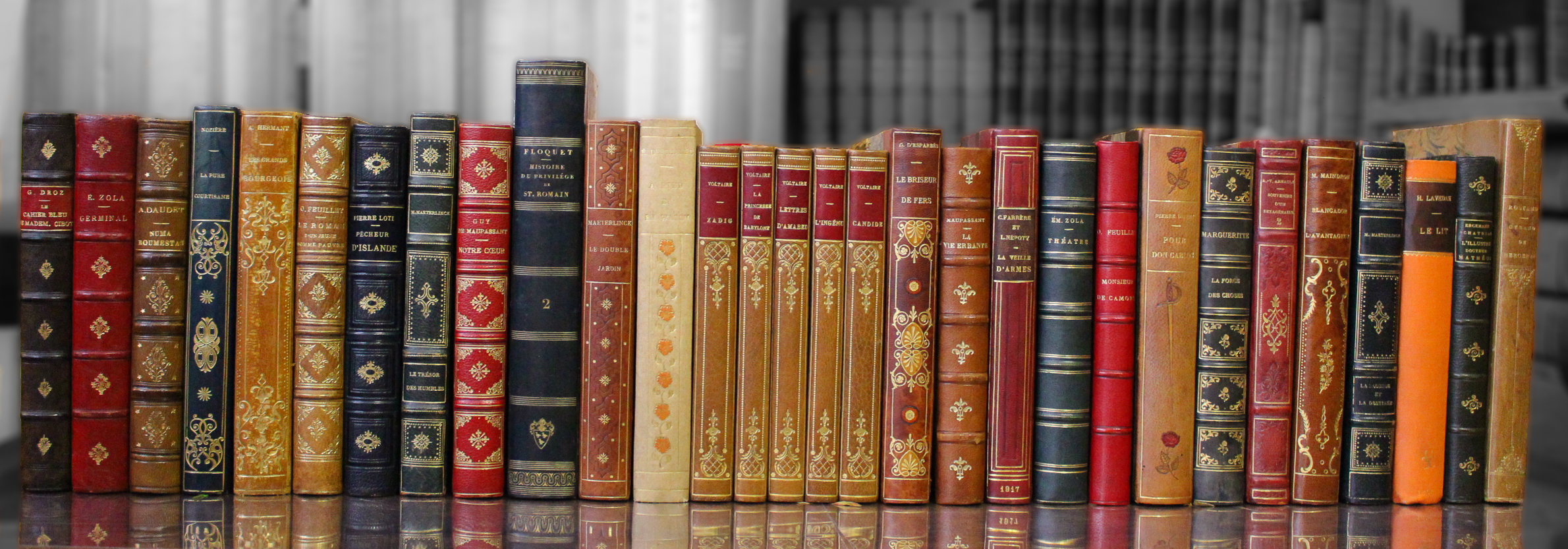 Bibliothèque idéale