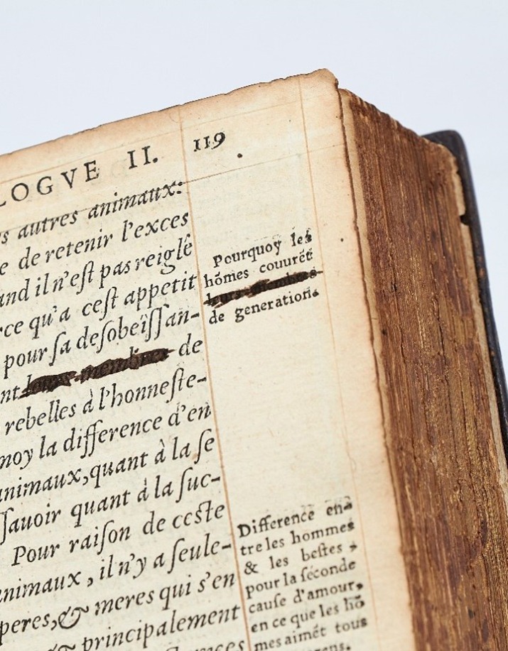 Enquête sur la marginalia